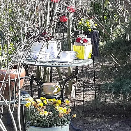 Cabane De Lemn 3* Costineşti