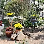 Holiday park Gardena Rustic - De Lemn