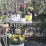 Gardena Rustic - De Lemn 3* Costinesti