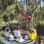 Holiday park Gardena Rustic - De Lemn Costinesti