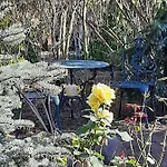 Gardena Rustic - De Lemn 3*
