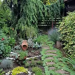 Holiday park Gardena Rustic - De Lemn Costinesti