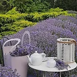 Holiday park Gardena Rustic - De Lemn Costinesti