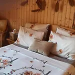 Gardena Rustic - De Lemn Holiday park 3*