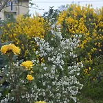 Gardena Rustic - De Lemn