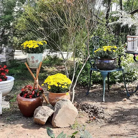 Holiday park Gardena Rustic - De Lemn