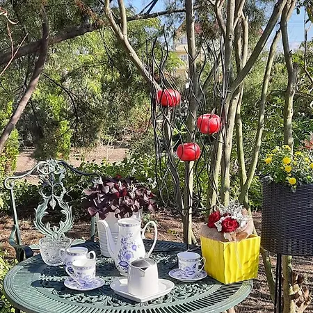 Parc de vacanță Gardena Rustic - De Lemn Costineşti