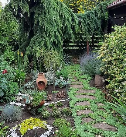 Holiday park Gardena Rustic - De Lemn Costinesti