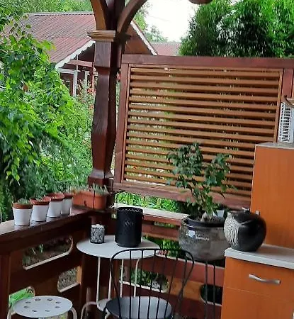 Gardena Rustic - De Lemn Holiday park Costinesti