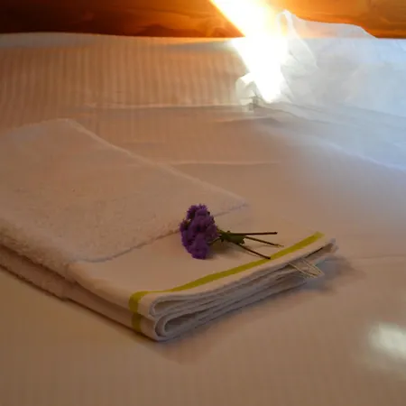 De Lemn Holiday park Costinesti