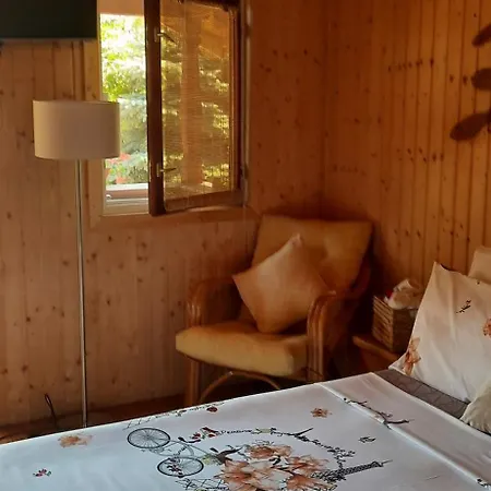 Gardena Rustic - De Lemn 3* Costineşti