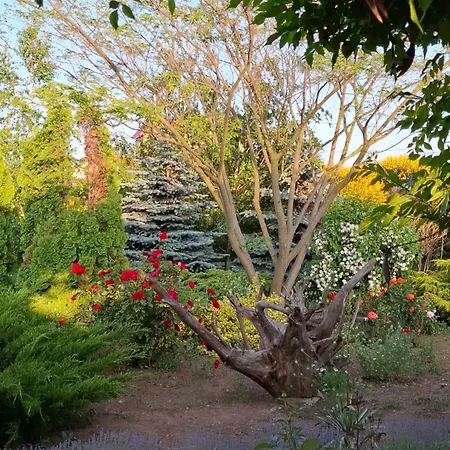 Gardena Rustic - De Lemn