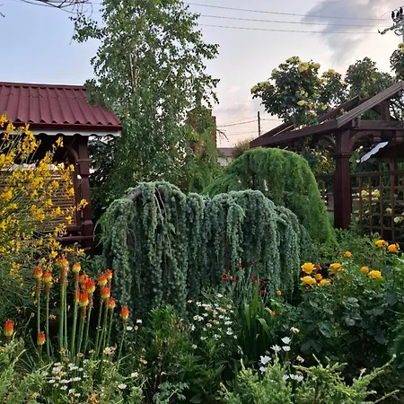 Gardena Rustic - De Lemn 3* Costineşti