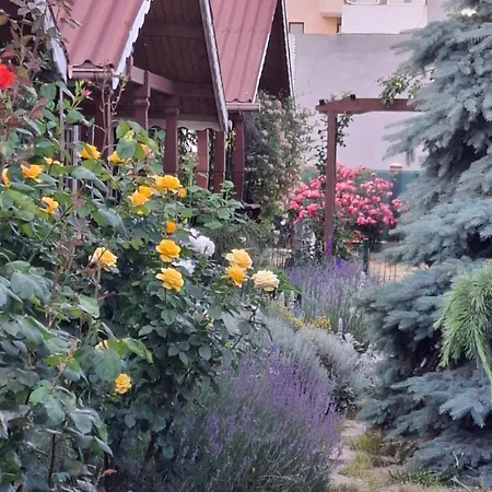 Gardena Rustic - De Lemn 3* Costineşti