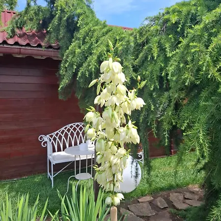 Gardena Rustic - De Lemn