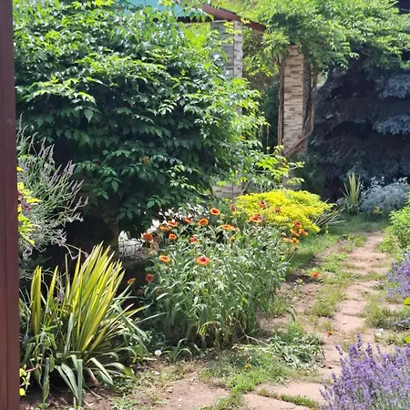 Gardena Rustic - De Lemn Semesterpark