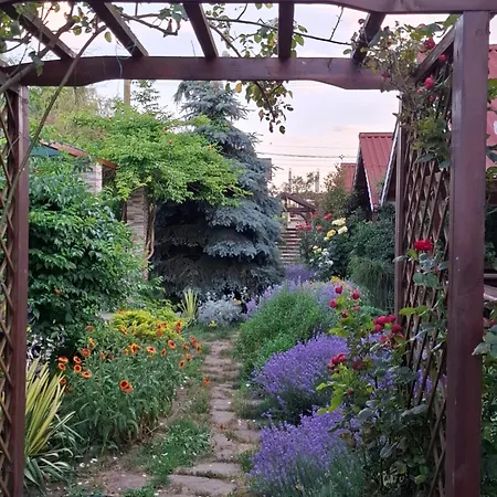 Gardena Rustic - De Lemn Semesterpark 3*