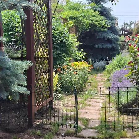 Gardena Rustic - De Lemn Semesterpark Costinesti
