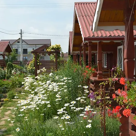 Holiday park De Lemn Costinesti