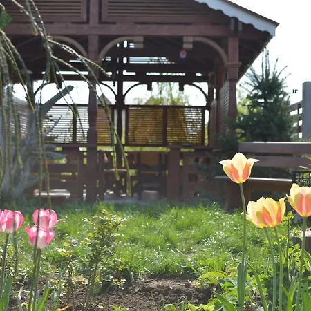 De Lemn Vakantiepark