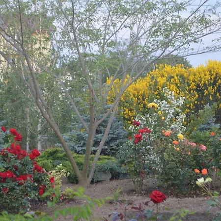 Gardena Rustic - De Lemn 假日公园 3*