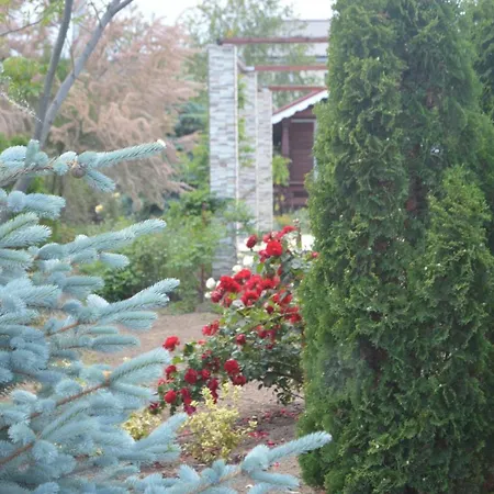 Gardena Rustic - De Lemn Costineşti