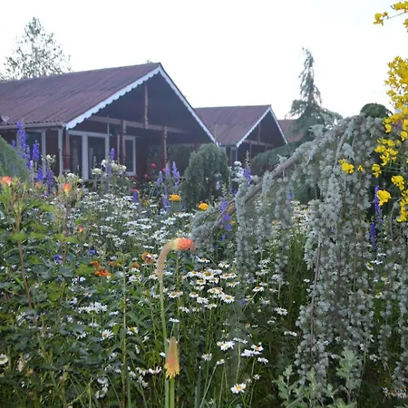 Gardena Rustic - De Lemn Parc de vacanță Costineşti