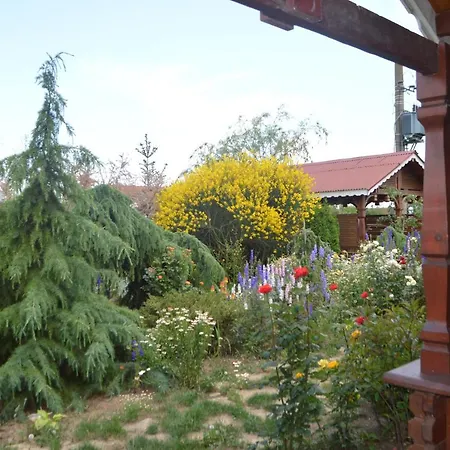 Holiday park De Lemn