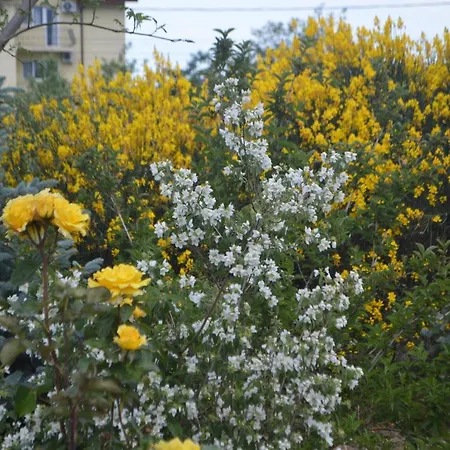 Gardena Rustic - De Lemn
