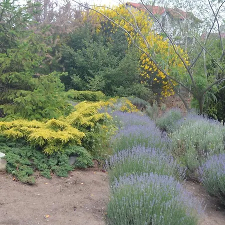 Gardena Rustic - De Lemn Parc de vacanță 3*