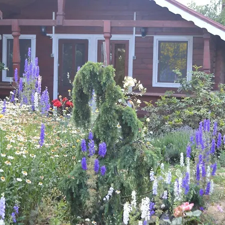 Parc de vacanță Gardena Rustic - De Lemn Costineşti